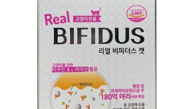 냥이 똥냄새 OUT! 리얼비피더스캣유산균60 솔직 후기 😻