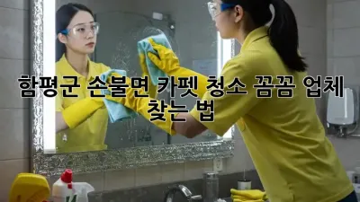 함평군 손불면 카펫 청소, 꼼꼼 업체 찾는 법! 🏡✨