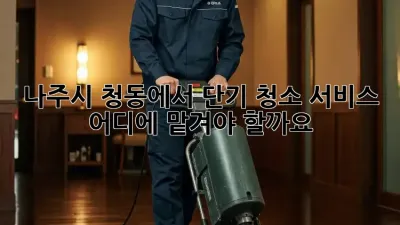 나주시 청동에서 단기 청소 서비스, 어디에 맡겨야 할까요?